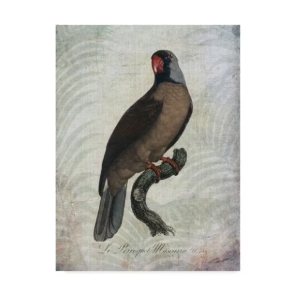 John Butler 'Parrot Jungle I' Canvas Art, 24x32, Trademark Fine Art, Mfr#: WAG01214-C2432GG